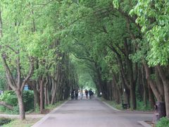 -同里国家湿地公园
