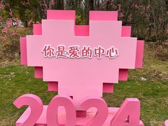 -朱雀国家森林公园