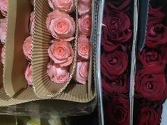 -三锐体育游泳中心