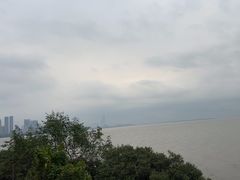 -深圳湾公园(南山区)
