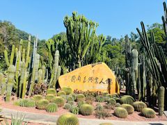 -深圳仙湖植物园