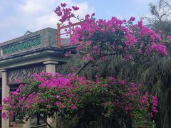 -东莞市可园博物馆