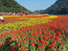 -广州市石门国家森林公园