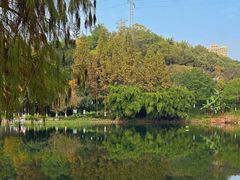 -重庆彩云湖湿地公园