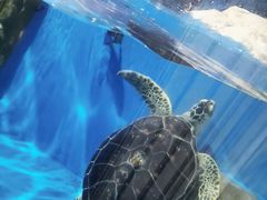 -欢乐海岸海洋奇梦馆