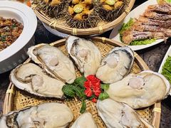 -日月昇渔家菜·海肠捞饭·大连海鲜(星海公园店)