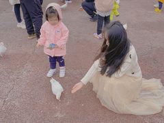 -泉城欧乐堡海洋极地世界