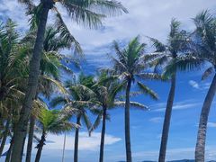 -海南分界洲岛旅游区