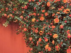 -好兄弟郭巨海鲜(天一阁店)