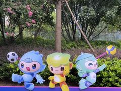 -中国江南水乡文化博物馆