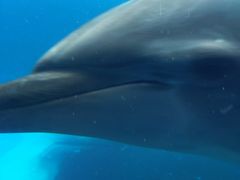 -北戴河圣蓝海洋公园