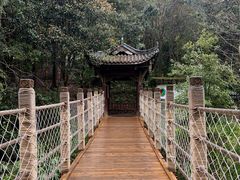 -凤栖山