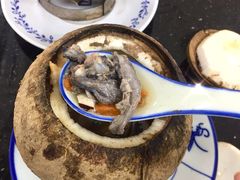 原只椰子炖竹丝鸡-達揚原味燉品(文明路店)