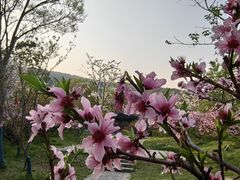 -雨花胜境