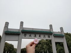 -武汉大学-樱园