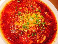 -波螺油子·海肠捞饭·青岛菜(银座店)
