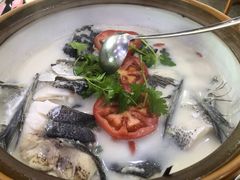 -全乐鱼馆·淳牌有机鱼直营店