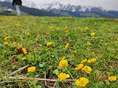 -新疆那拉提国家旅游度假区