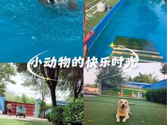 -宠物寄养训练学校