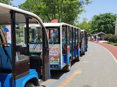 -上海长兴岛郊野公园