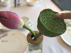 -松鹤楼·非遗·苏帮菜(融科店)