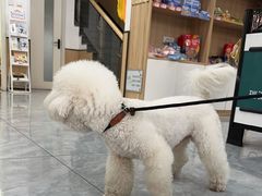 -瑞派雷欧宠物医院·24h夜诊·心脏骨科牙科·全科重症转诊中心(无影山店)