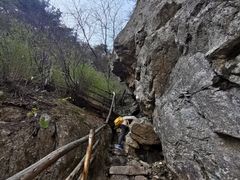 -王顺山国家森林公园