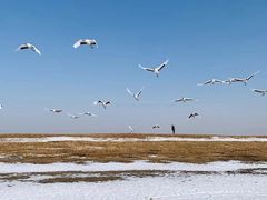 -黑龙江扎龙生态旅游区