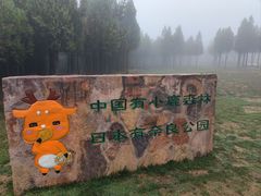 -伏羲山旅游区