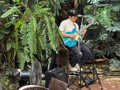 -Fern Forest Cafe