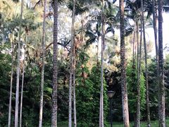 -北海市海滨公园