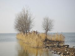 -洪泽湖古堰景区