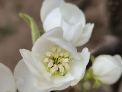 -天津东丽湖风景区