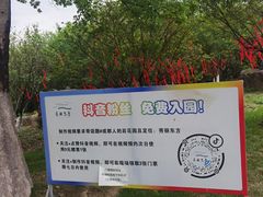 -秀丽东方