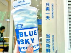 -白色日记·手作酸奶(麦凯乐店)