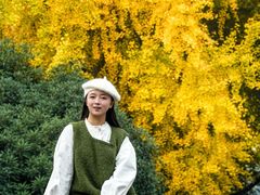 -四川大学(华西校区)