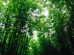 -竹泉村旅游度假区