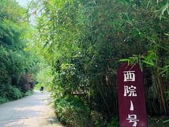 -西院1号(龙井店)