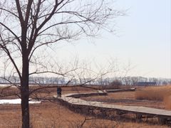 -野鸭湖国家湿地公园