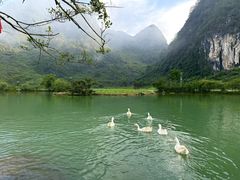 -靖西鹅泉风景区