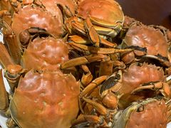 -正阳春烤鸭店(杨楼店)