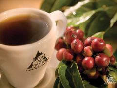 -星巴克(成都机场T2店)