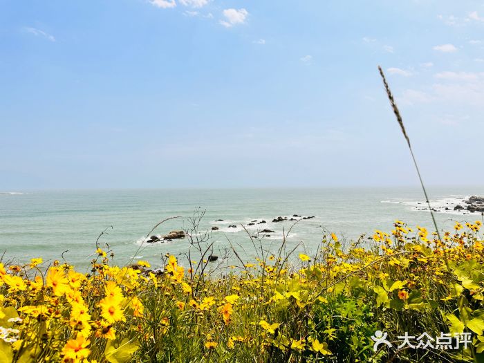 青岛银沙滩图片