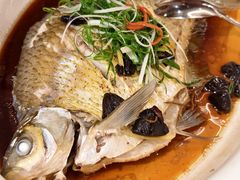 -陶缘一号·四季缘·老字号顺德菜·户外婚礼家宴(西滘店)