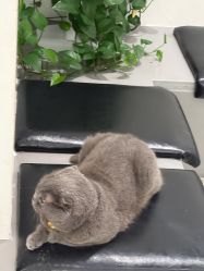 -蚂蚁造型俱乐部