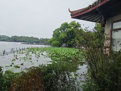 -湖畔居茶楼(湖滨店)