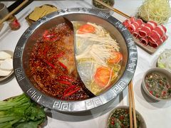 -朱氏胖子烂火锅(洪崖洞店)