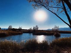 -野鸭湖国家湿地公园