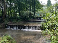 -桤木河湿地公园