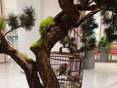 -锦府盐帮·侯宅(五棵松万达店)